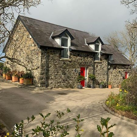 Вілла The Barn At Ballycairn Ларн Екстер'єр фото